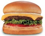 Feedback model "Burger"